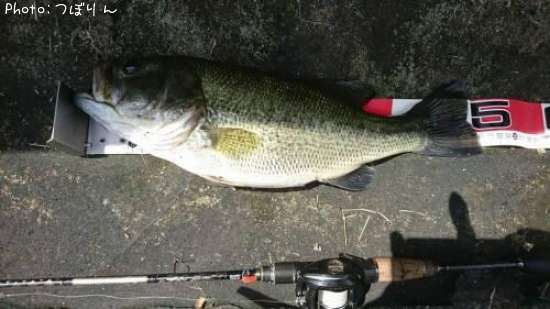 �֥�å��Х�