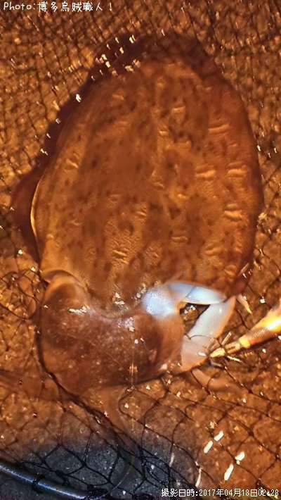 ���ߥʥꥤ��