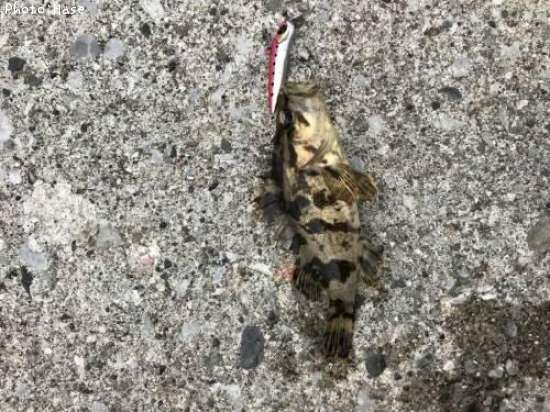 �����Υ���Х�