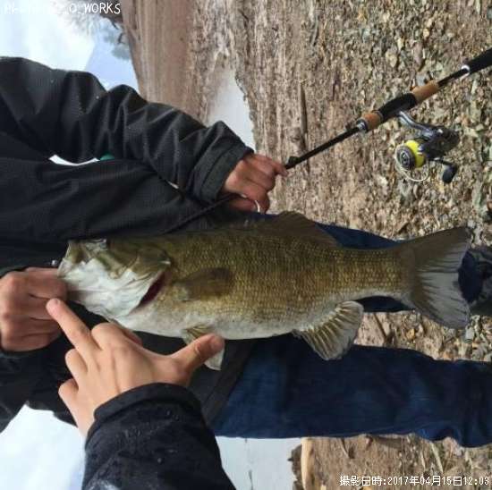 ���⡼��ޥ����Х�