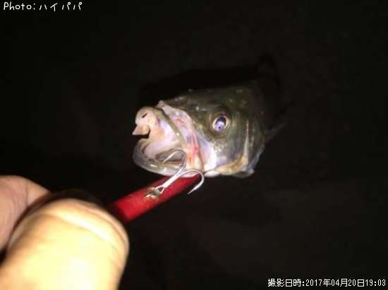 �����Х�