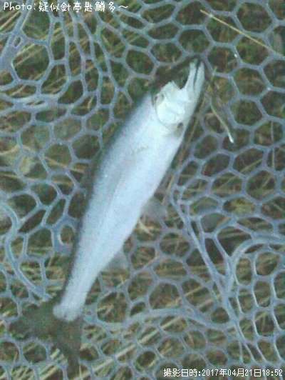 ���ĥ��ޥ�