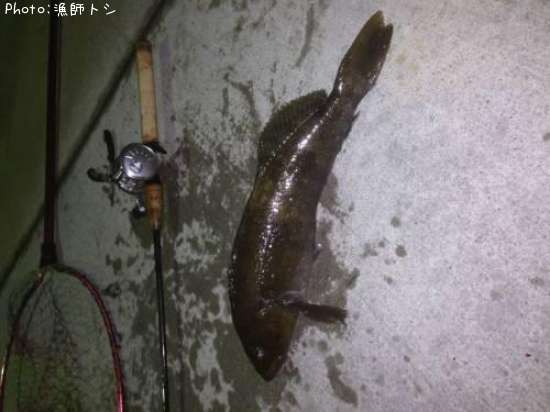 �����ʥ�