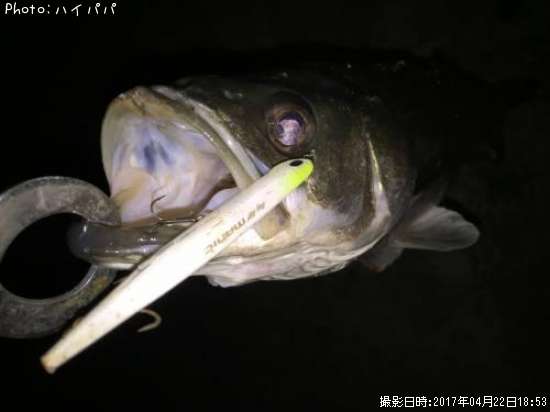 �����Х�