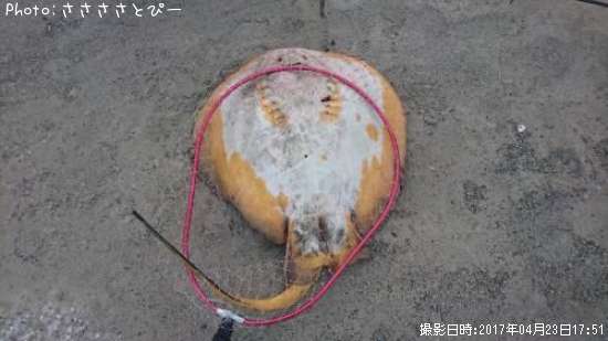 �����ꥢ��