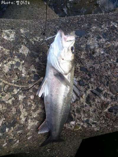 �����Х�