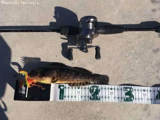 �����ʥ�