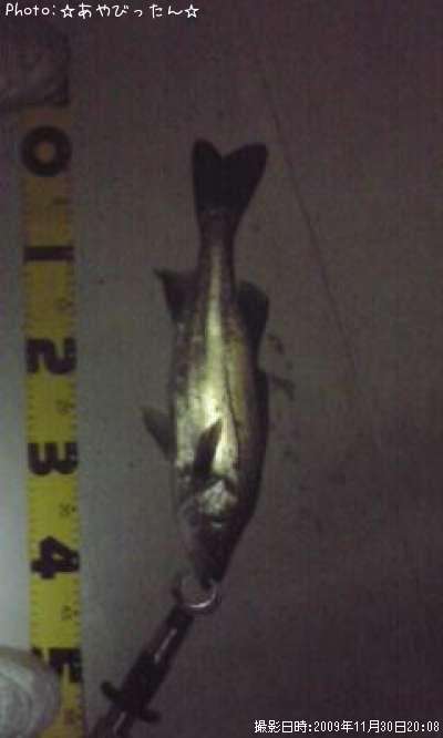 �����Х�