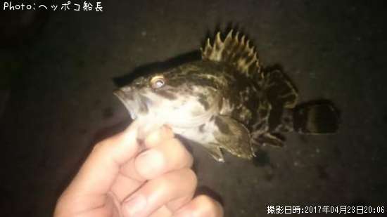 �����Υ���Х�