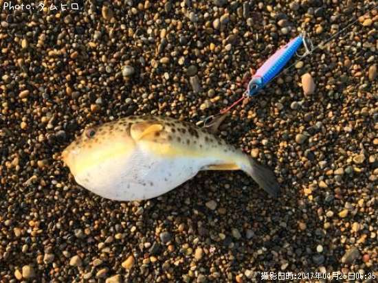 �����ե�