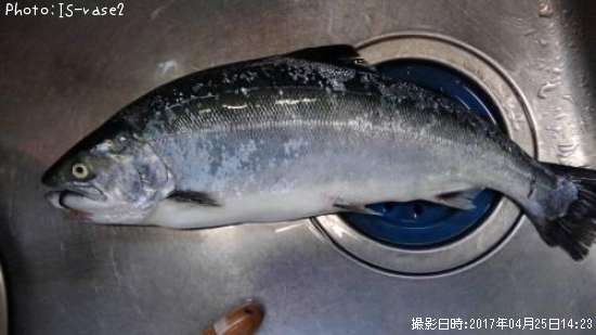 ������ޥ�