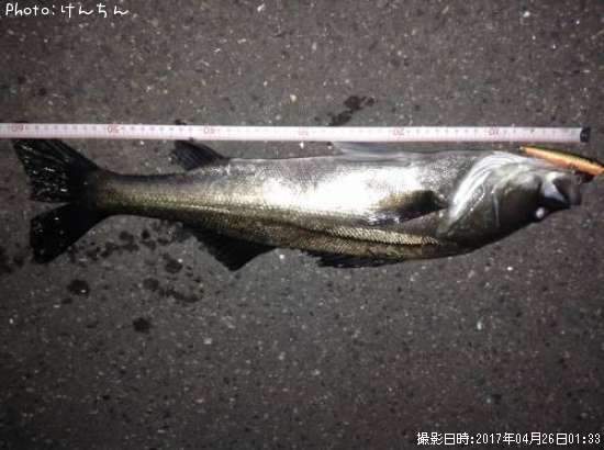 �����Х�