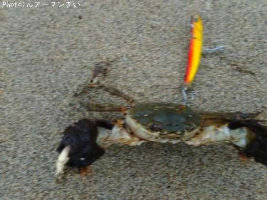 �⥯�������