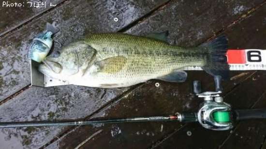 �֥�å��Х�