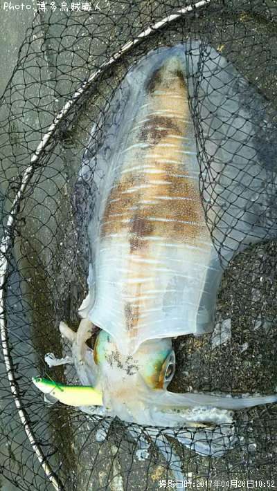 �����ꥤ��