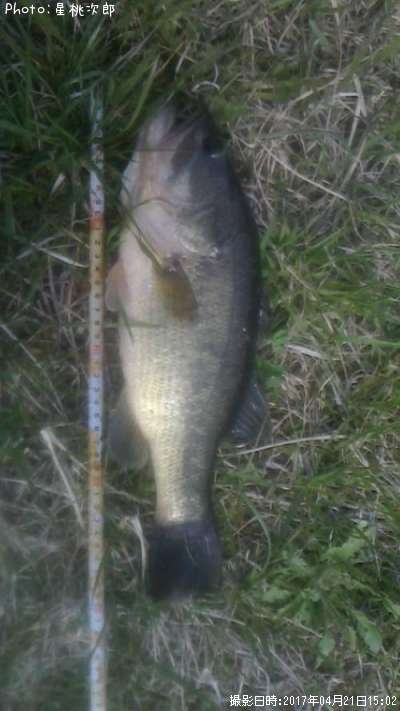 �֥�å��Х�