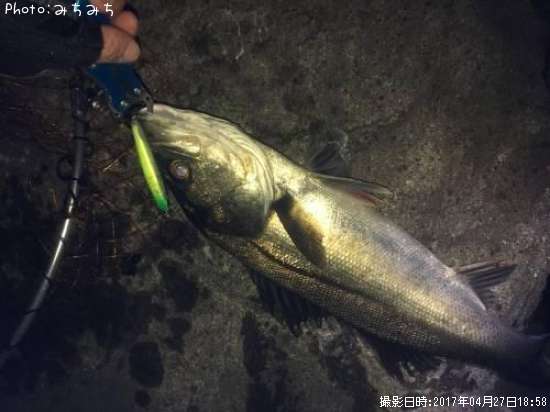 �����Х�