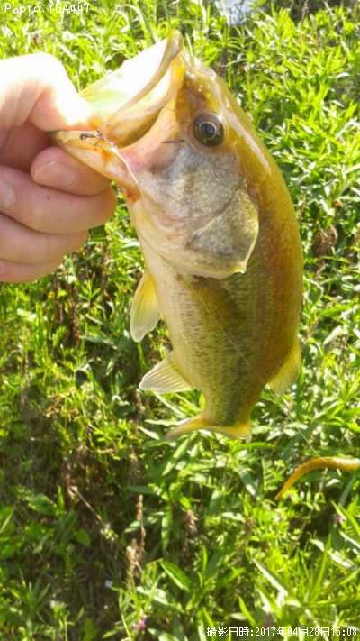 �֥�å��Х�