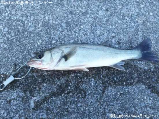 �����Х�