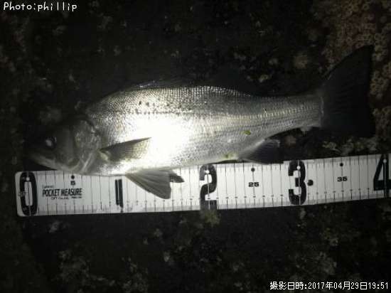 �ҥ饻����