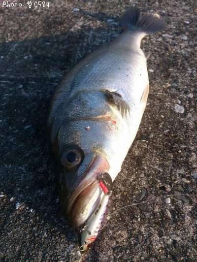 �����Х�