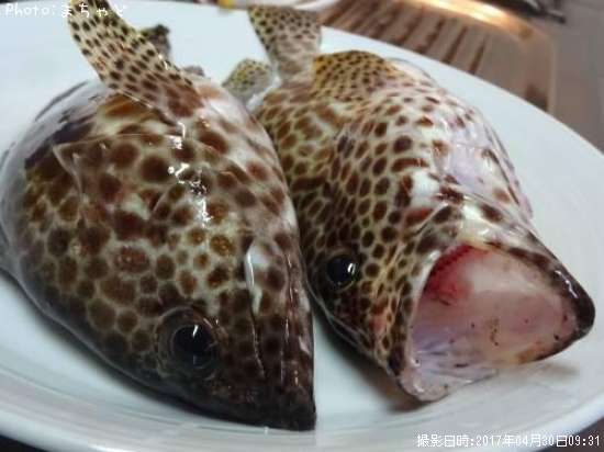 �����ߡ��Х��ڥ�����ϥ���