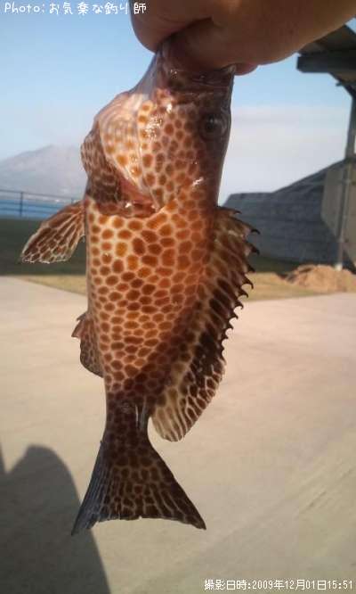 �������ϥ�