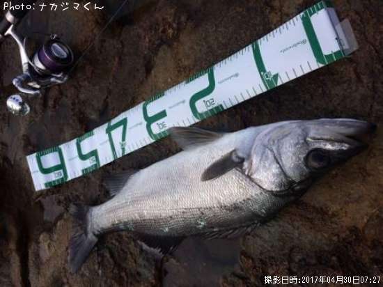 �ҥ饹����