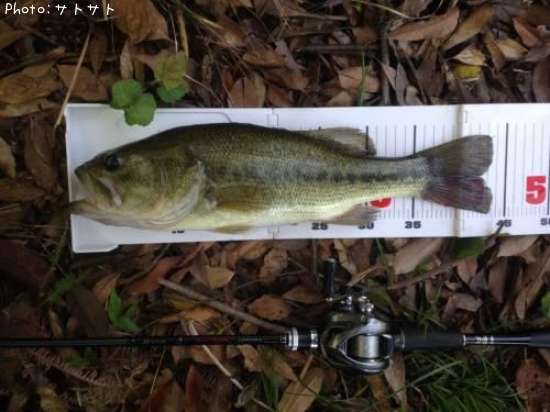 �֥�å��Х�