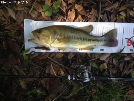 �֥�å��Х�