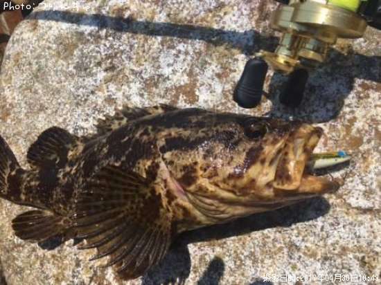 �����Υ���Х�