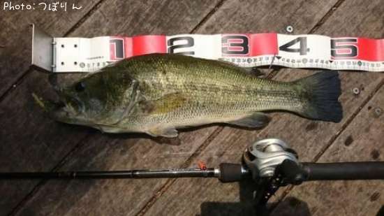 �֥�å��Х�