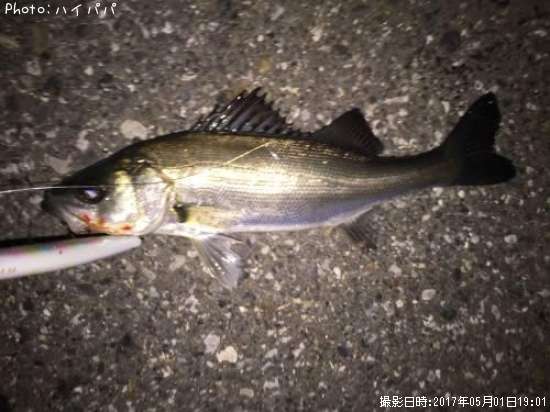 �����Х�