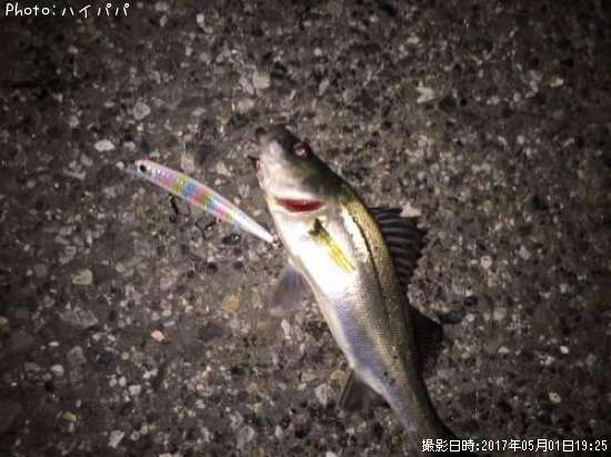 �����Х�