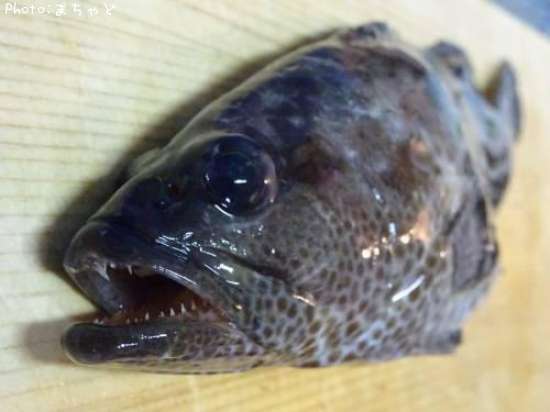 �����顼�ߡ��Х��ڥޥ���ϥ���