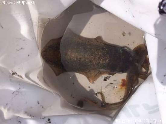 �����ꥤ��