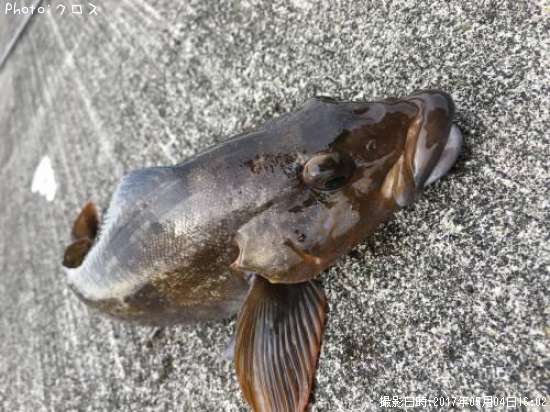 �����ʥ�