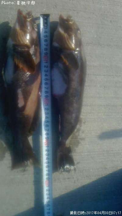 �����ʥ�