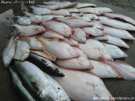 ���С��������쥤���ޥ����쥤�����������쥤�����ޤ������