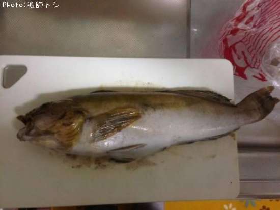 �����ʥ�