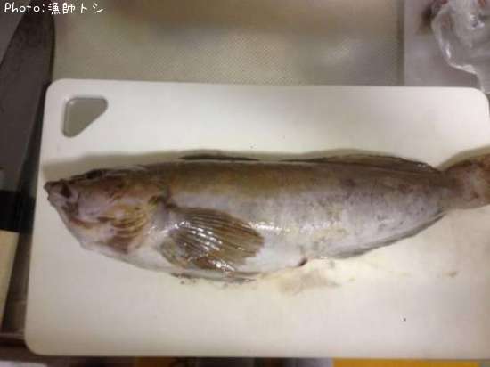 �����ʥ�