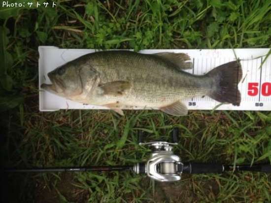 �֥�å��Х�