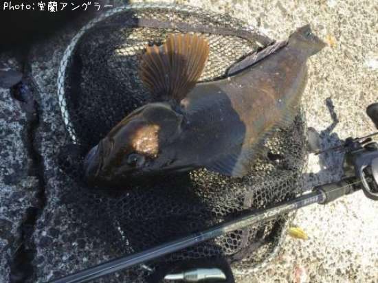 �����ʥ�