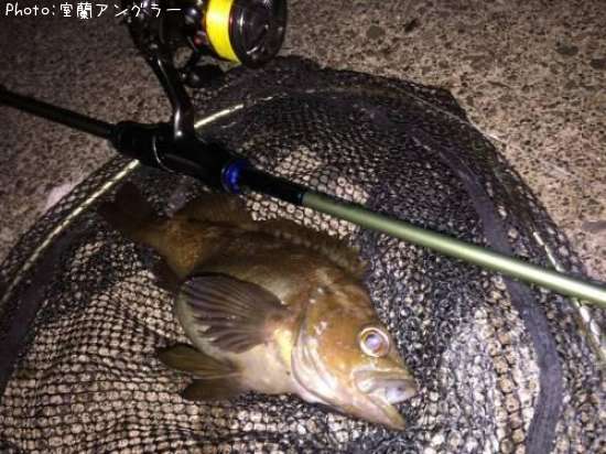 ������Х�