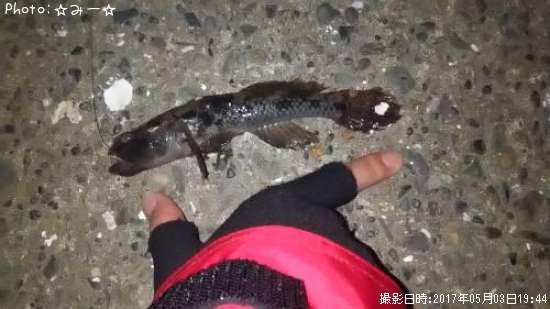 �ϥ������