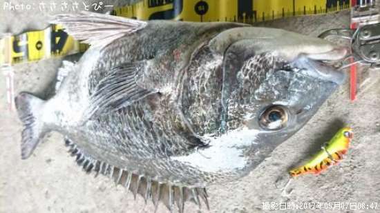 ���������������Х�