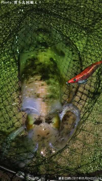 �����ꥤ��