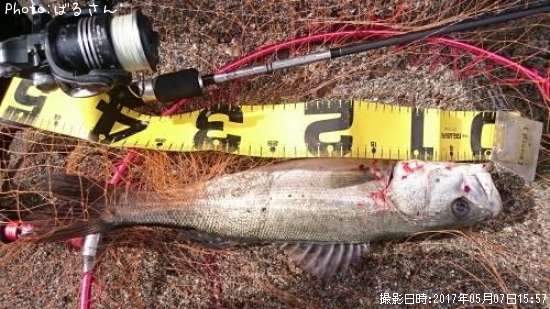 �����Х�