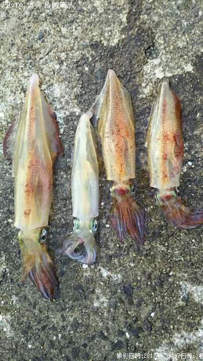 ���󥵥�����