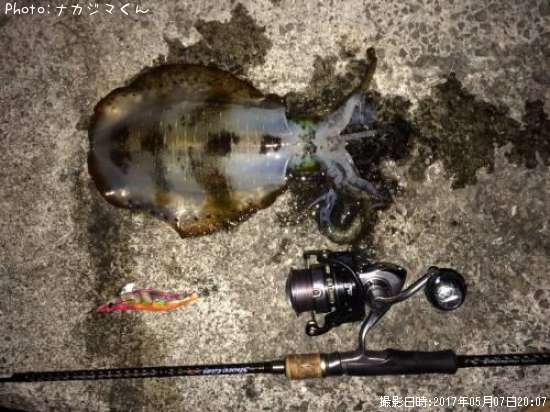 �����ꥤ��